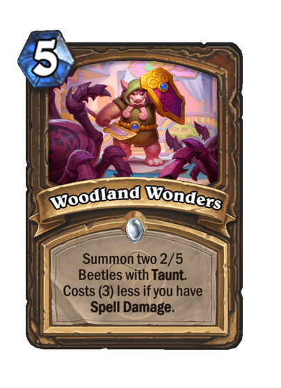 Woodland Wonders