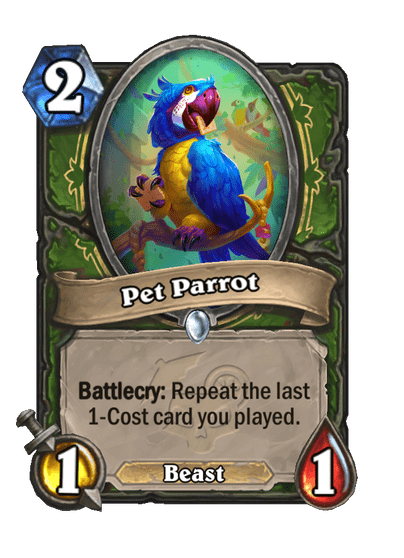 Pet Parrot