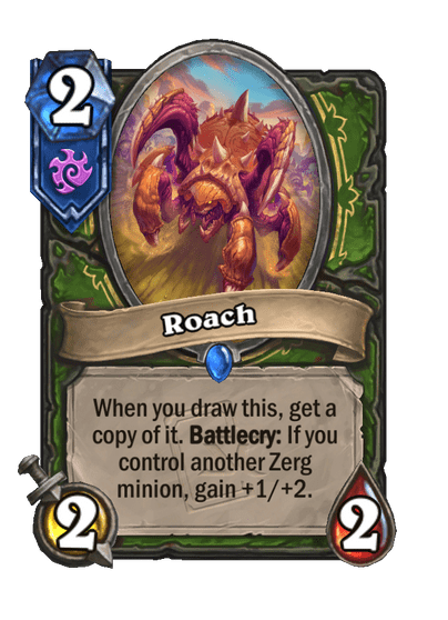 Roach