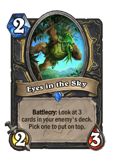 Eyes in the Sky