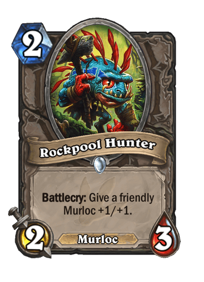 Rockpool Hunter