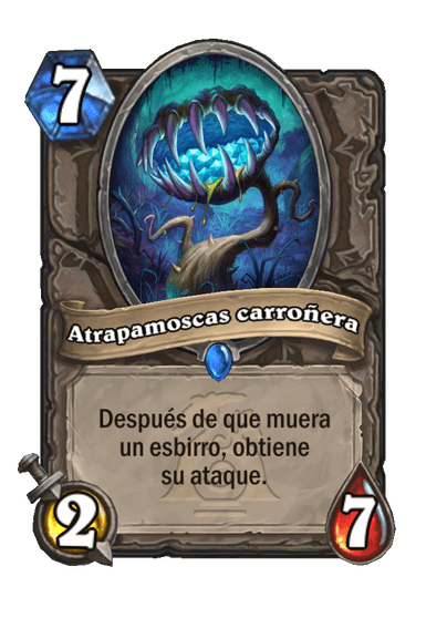 Atrapamoscas carroñera