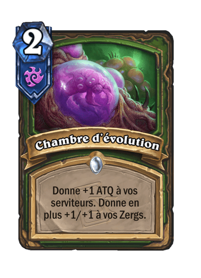 Chambre d’évolution