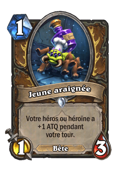 Jeune araignée