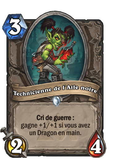 Technicienne de l’Aile noire