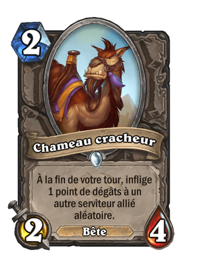Chameau cracheur