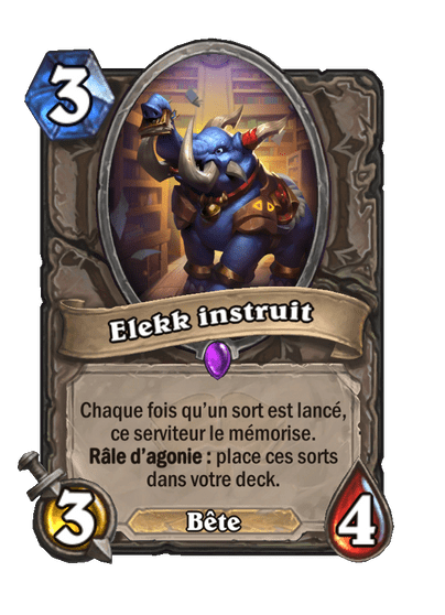 Elekk instruit