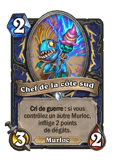 Chef de la côte sud