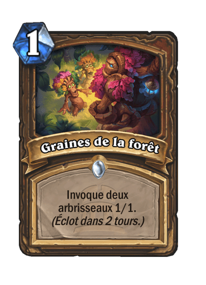 Graines de la forêt