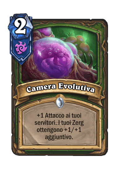 Camera Evolutiva