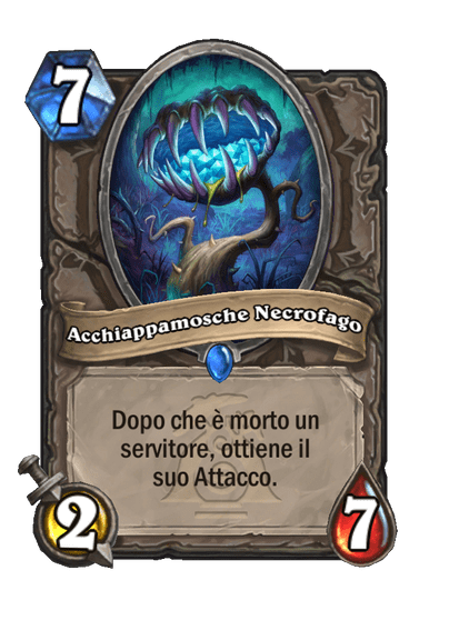 Acchiappamosche Necrofago