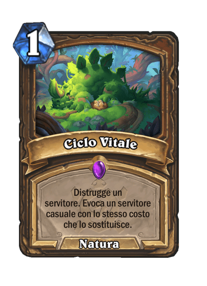 Ciclo Vitale
