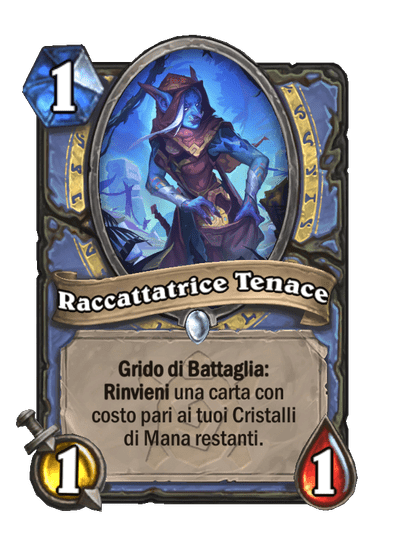 Raccattatrice Tenace