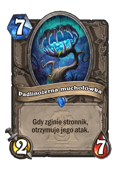 Padlinożerna muchołówka