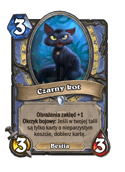 Czarny kot