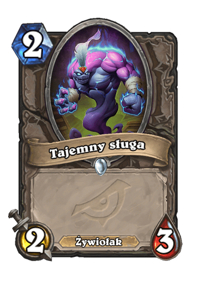 Tajemny sługa