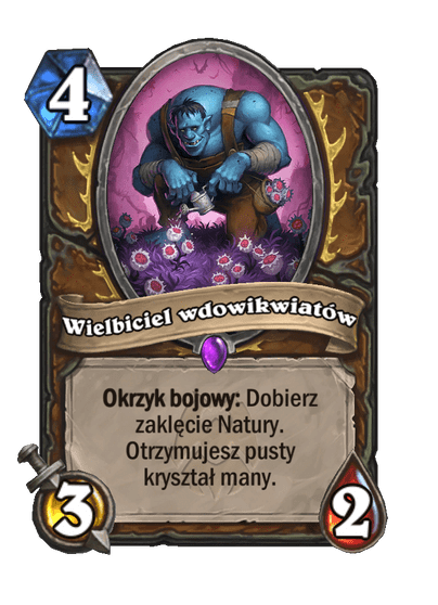 Wielbiciel wdowikwiatów