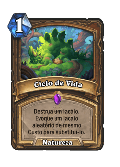 Ciclo de Vida