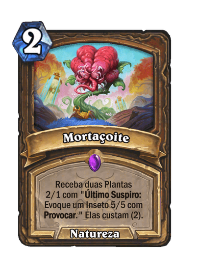 Mortaçoite